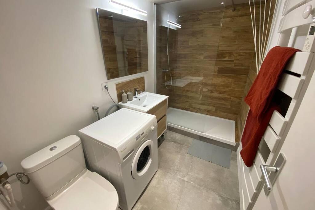 Place De Metz, Hyper-Centre Grenoble, Studio 25 M2 Экстерьер фото